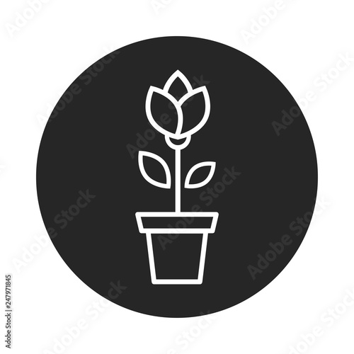 cartoon tulip vector outline white in a pot icon