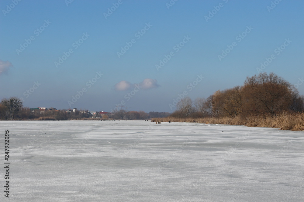 Dry reeds and trees are on the shore of a lake covered with ice