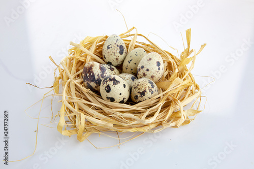 quail eggs in a nest isolated white background