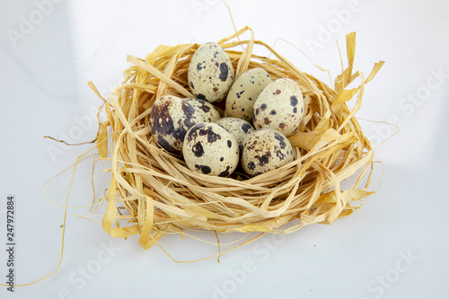 quail eggs in a nest isolated white background