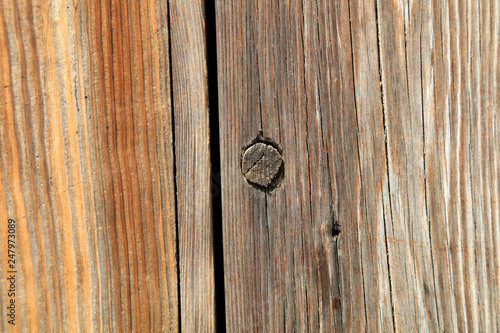 Wood texture and crevice