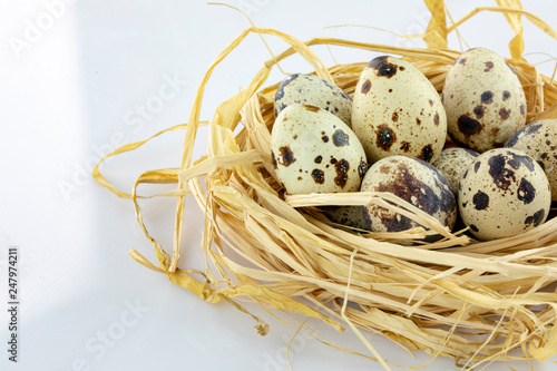 quail eggs in a nest isolated white background