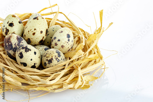 quail eggs in a nest isolated white background