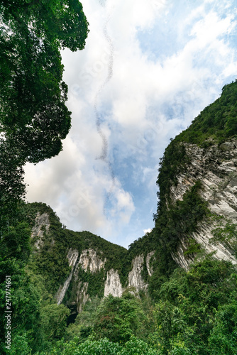 Bat Exodus from Deer Cave in Mulu Park Borneo / Malaysia