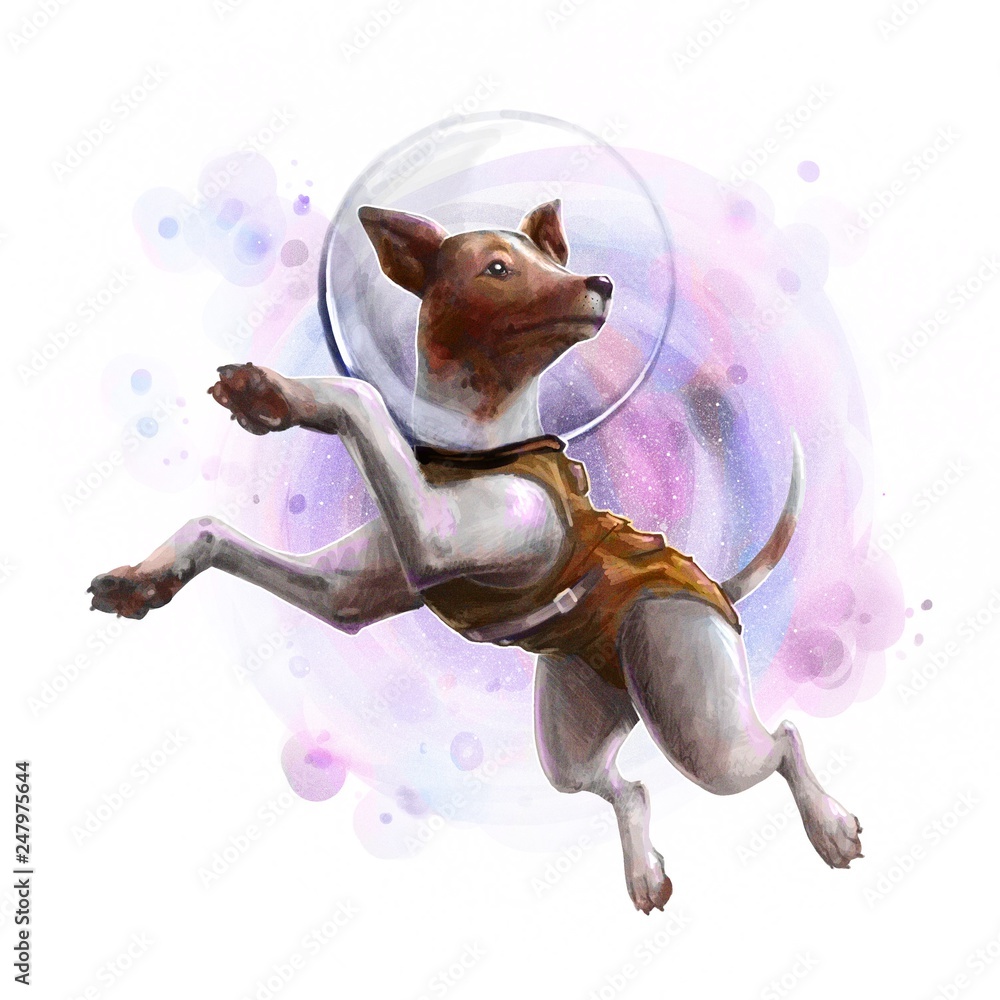 Dog astronaut space galaxy illustration Stock Illustration | Adobe Stock