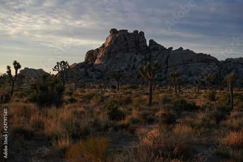 Amazing landscapes at Joshua Tree Park with mountains, rocks and desert plains at sunrise