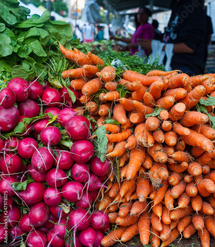 Carrots and radishes for sale at the Union square farmers market in New York city