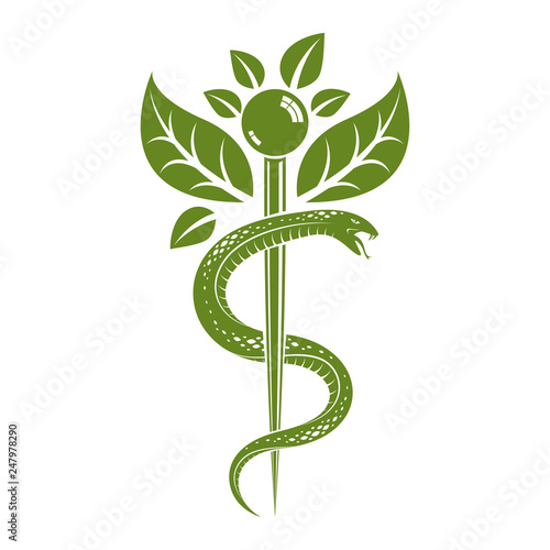 Aesculapius vector abstract illustration created using snakes and green leaves, Caduceus symbol. Healthy lifestyle is strong heart.