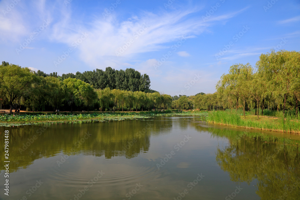 pond natural scenery, China pond natural scenery, China
