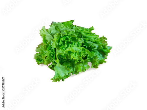 Green leafy vegetables. Salad isolated on a white background.