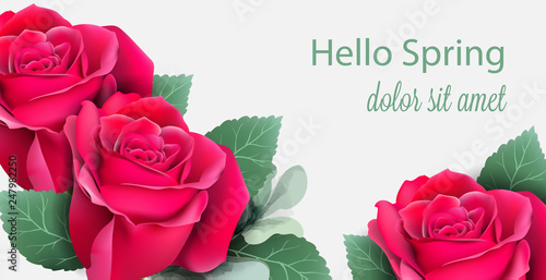 Red roses card Vector realistic. Beautiful floral decor with palm leaves. Exo...
