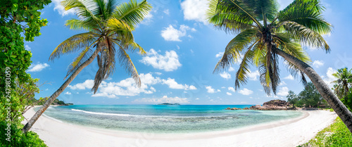 Tropischer Palmenstrand in der Südsee mit Blick aufs Meer