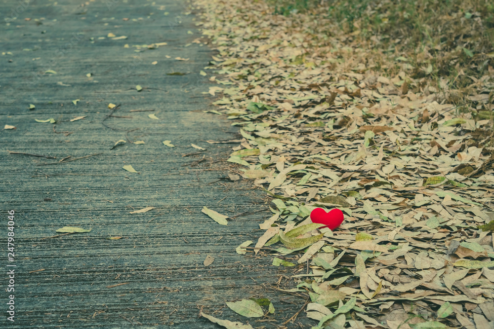 A little red heart pillow falls on the dry leaf pile on the road. A little red heart pillow falls on the dry leaf pile on the road.