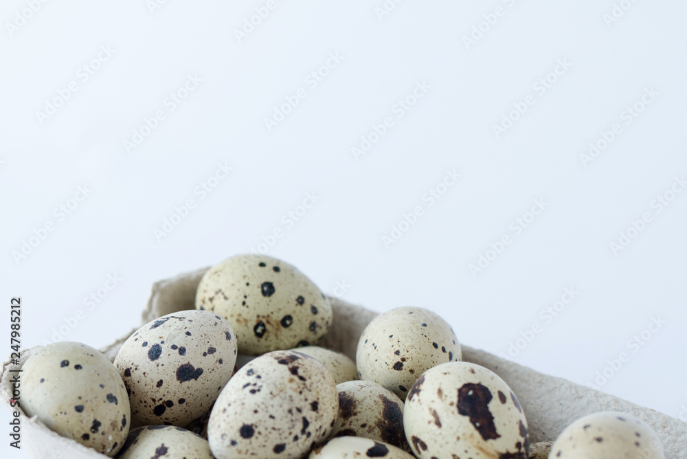 quail eggs isolated on white . agriculture. eggs background