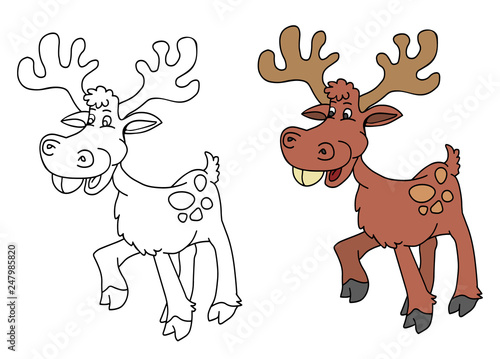 coloring pages for childrens with funny animals deer