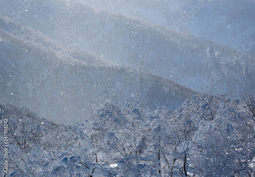 ダイヤモンドダスト　朝日に輝く
