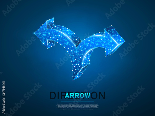 Crossroad direction two ways arrows wireframe digital 3d illustration. Low poly crossway choice concept with lines, dots and starry sky blue background. Vector polygonal road guide neon sign RGB