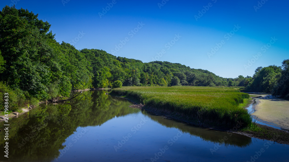 Marsh reflection