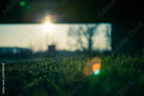 focused grass against the sun under bridge in warm colours and lens reflection