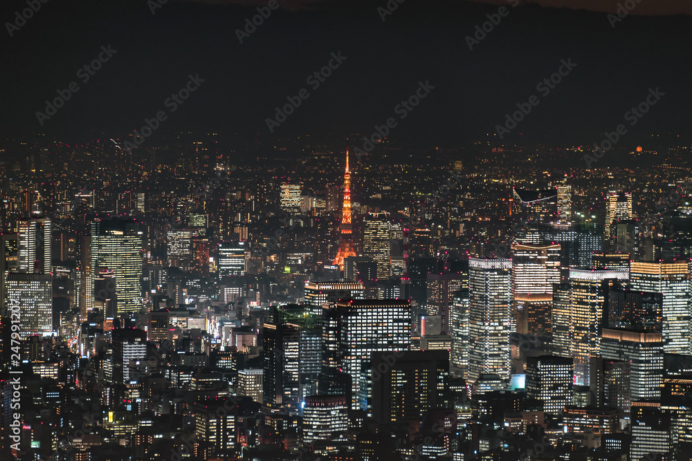 Fototapeta premium Tokyo Tower with skyline cityscape in Tokyo, Japan at night