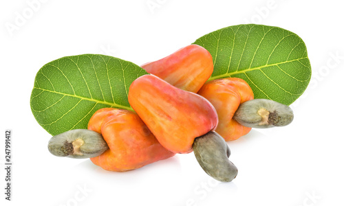 Red cashew fruit isolated on white background photo