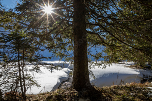 winter in nature park named steirisches almenland (Teichalm)  in styria,austria photo