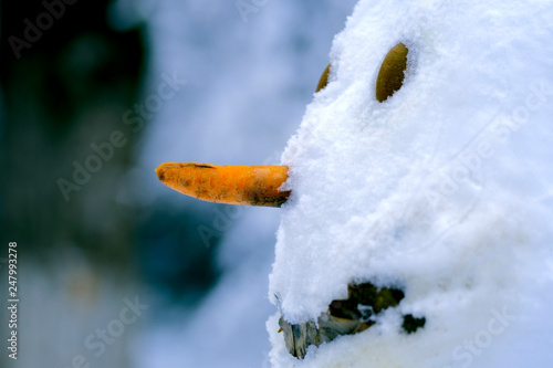 Snowman face close-up