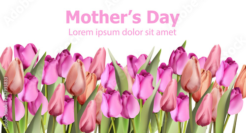 Tulips card Vector watercolor. Mother day holiday background. Spring colorful...