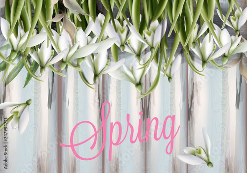 Snowdrops flowers Vector watercolor. Spring Summer trendy backgrounds