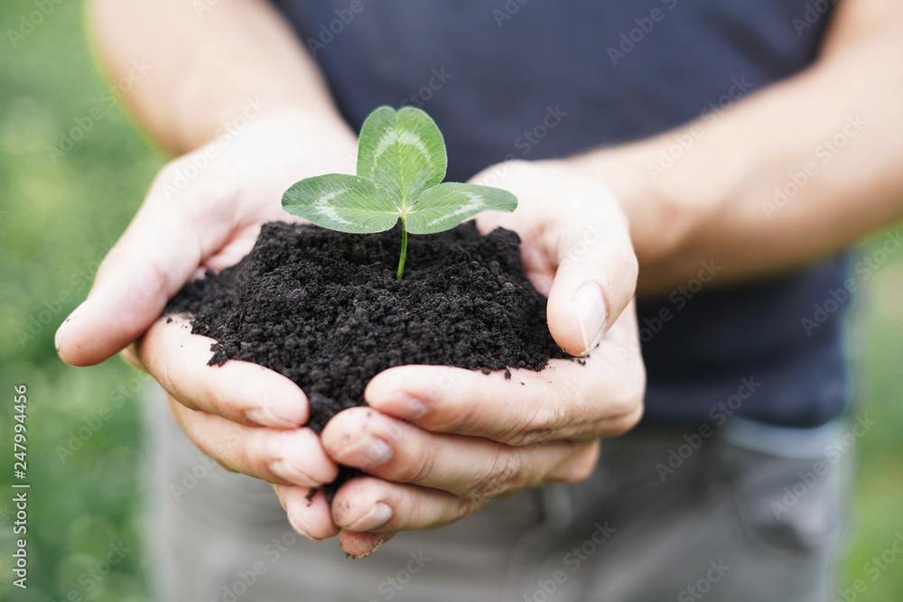 Hands of farmer growing and nurturing tree growing on fertile soil with green bokeh background, nurturing plant, protect nature. Close up. Hands of farmer growing and nurturing tree growing on fertile soil with green bokeh background, nurturing plant, protect nature. Close up.