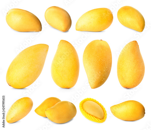 Set of delicious ripe mangoes on white background