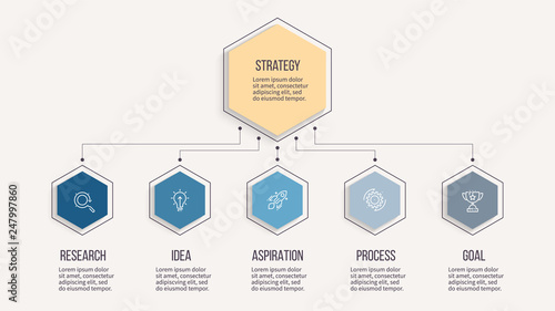 Business infographic. Organization chart with 5 options, hexagons. Vector template. Editable line.