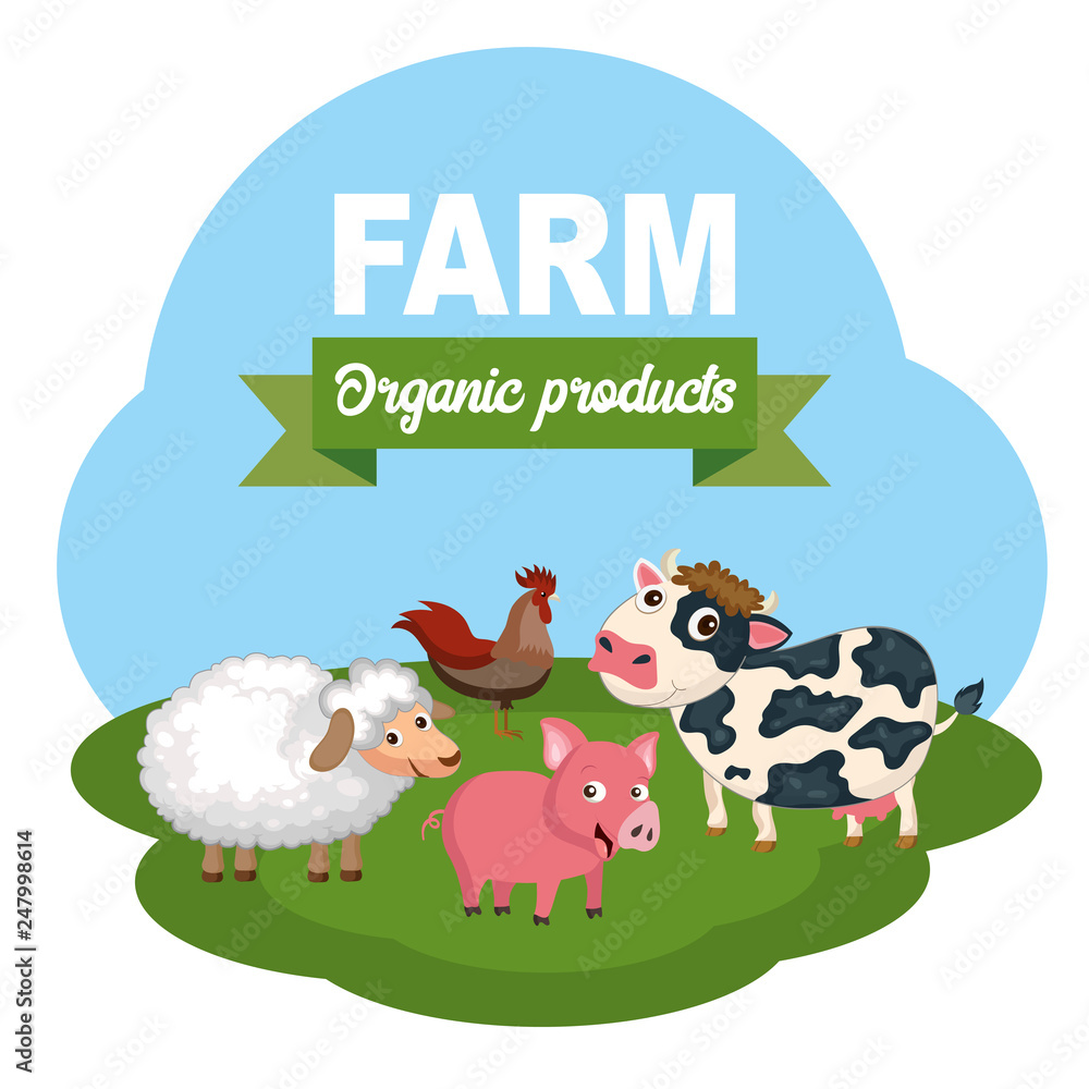 Naklejka premium Pigs in the farm scene. Concept for animal farm and organic meat food. Flat vector illustration