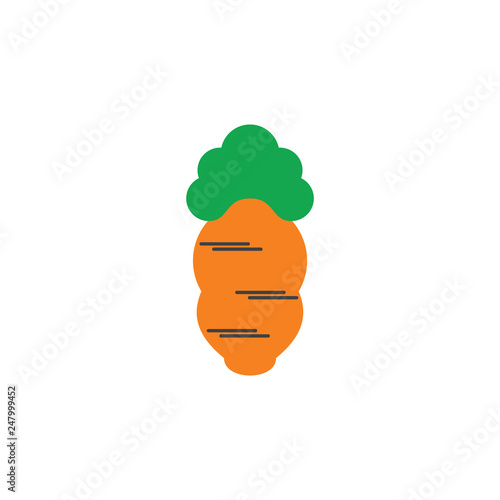 simple carrot colorful design symbol vector