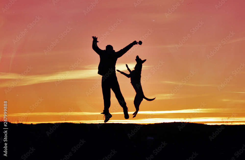 Silhouettes of man and dog on sunset background