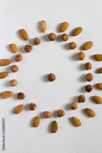 nut circle, flower, hazelnut and almond