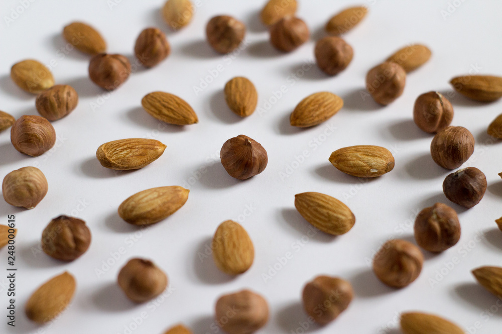 nut circle, flower, hazelnut and almond nut circle, flower, hazelnut and almond
