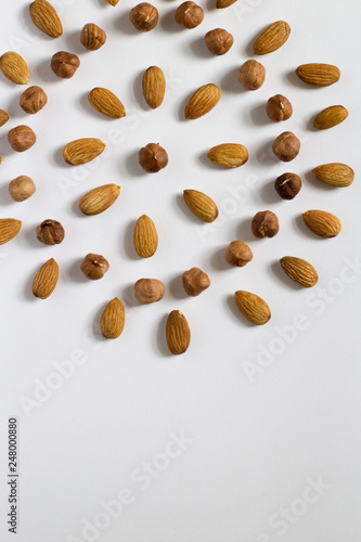 nut circle, flower, hazelnut and almond