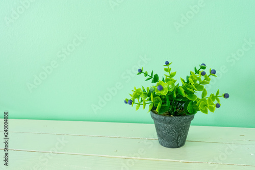 The flower pot on wooden board for backgrounds texture
