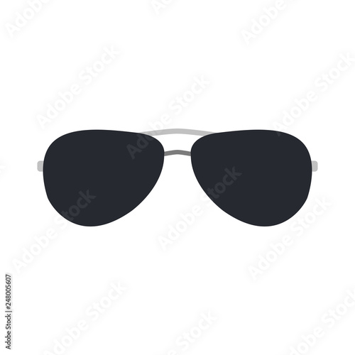 Sunglasses. Glasses. Vector illustration of a white background. Vector illustration. EPS 10.