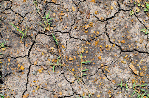 Obraz na płótnie Cracks and fissures in the dry earth create beautiful, richly textured images