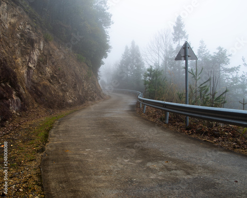 s curve road in fog