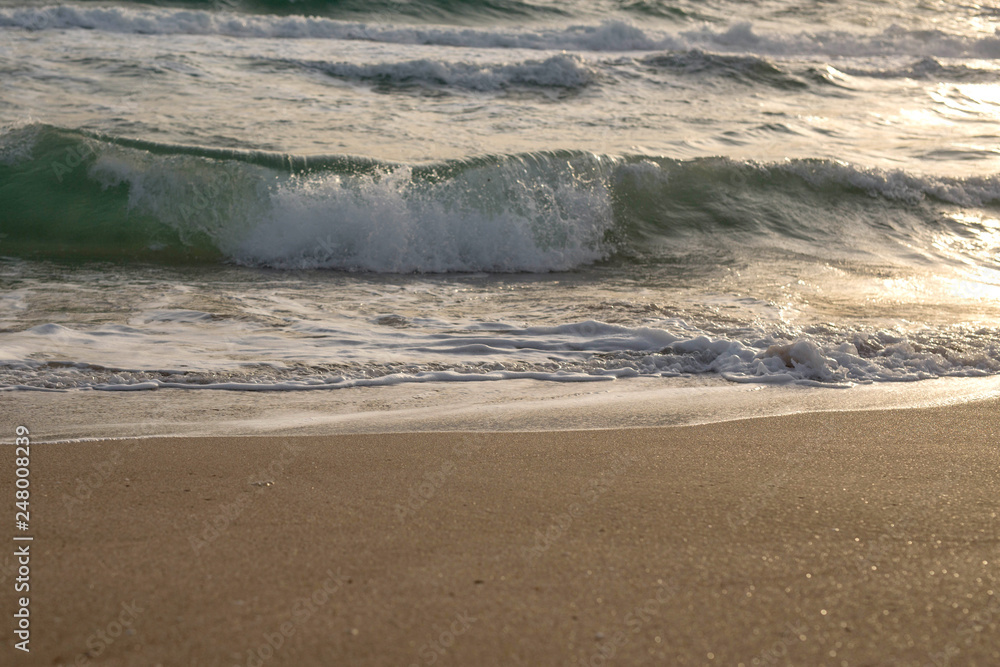 Scenic view of the waves of the blue sea on the sandy shore.
Wild nature. Storm. Sunset on the sea. Scenic view of the waves of the blue sea on the sandy shore.
Wild nature. Storm. Sunset on the sea.