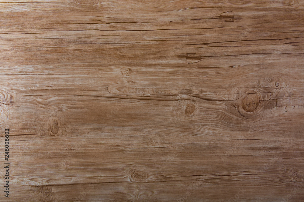 Fototapeta premium 木の模様