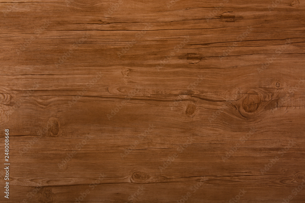 Fototapeta premium 木の模様