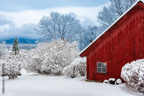 Red barn during winter with snow, Stowe, Vermont, USA Poster Mural XXL