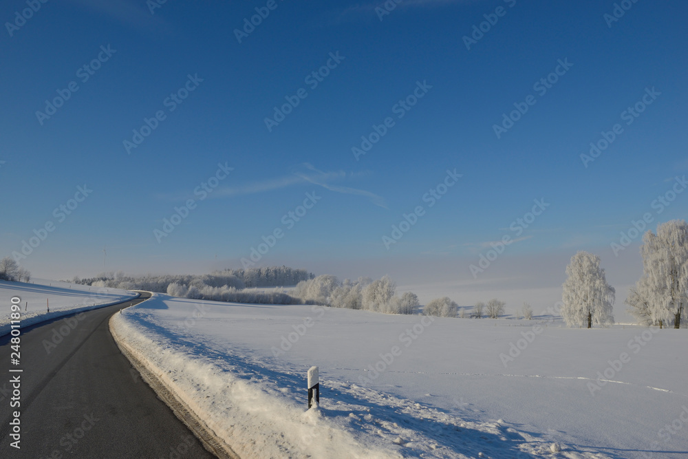 Winter mit Raureif bei Rückersdorf in Sachsen