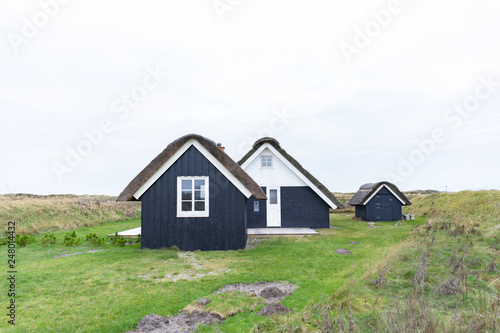 traditional house with thatched roof and wooden black facade