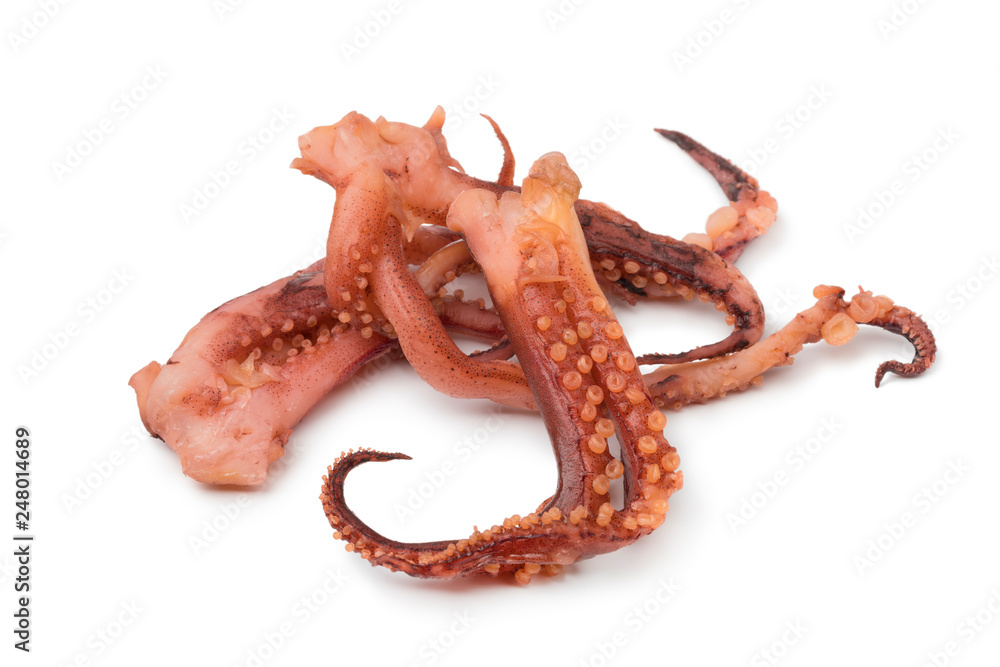 Japanese Dried Squid
