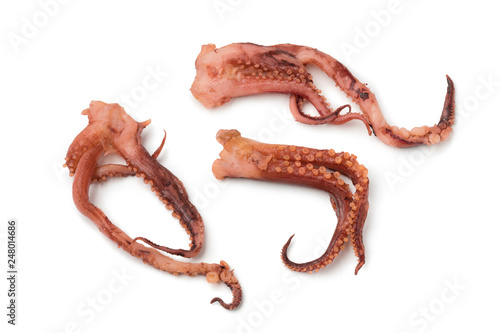  Japanese dried squid tentacle with vinegar flavor